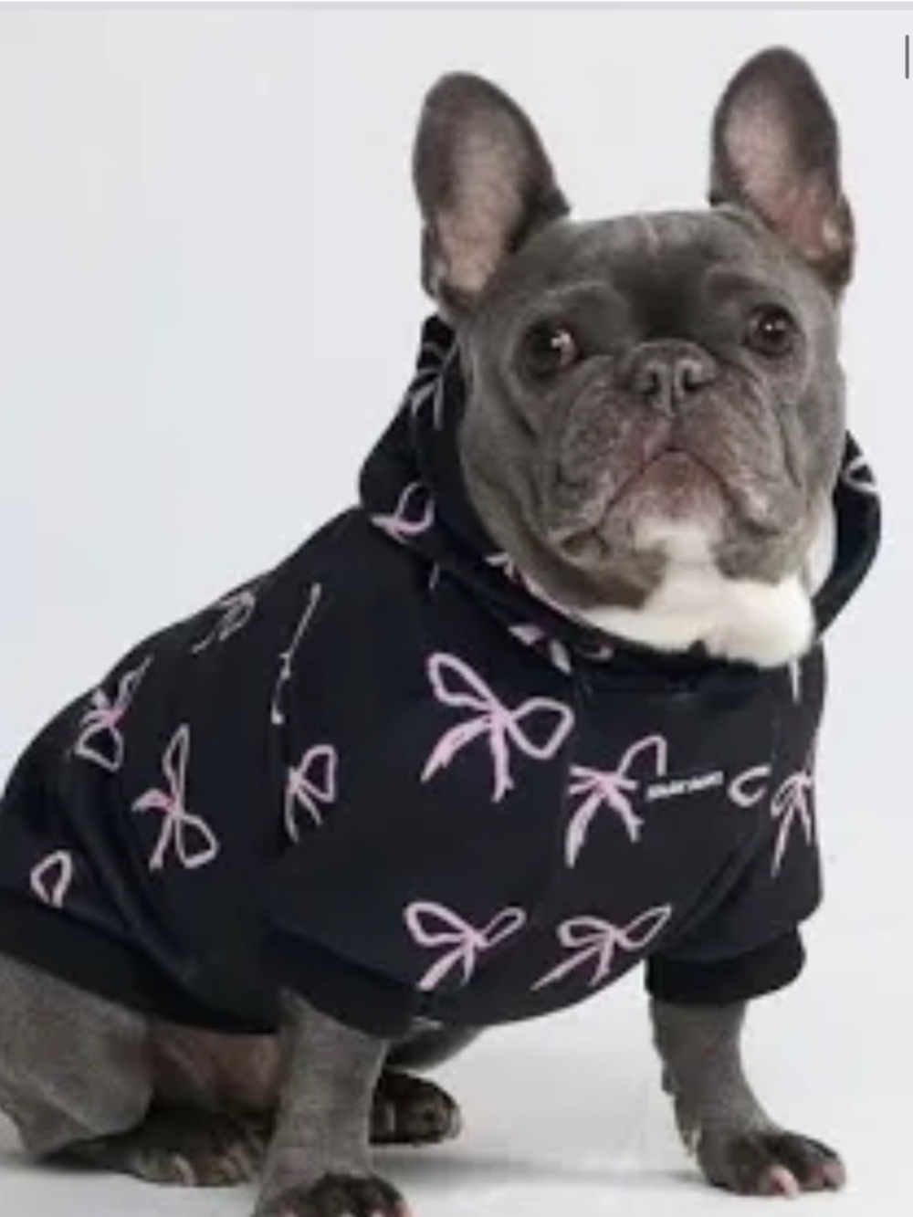 Spark Paws Black & Pink Bow Dog Hoodie
